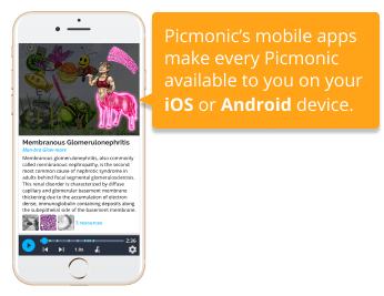 Picmonic Mobile Apps