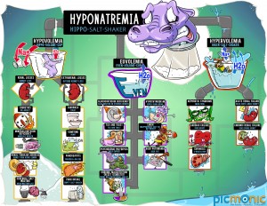 Electrolyte Disorders - Hyponatremia Infographic