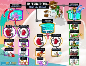 Electrolyte Disorders - Hypernatremia Infographic