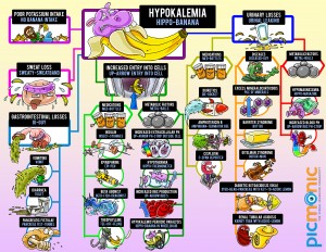 Electrolyte Disorders - Hypokalemia Infographic
