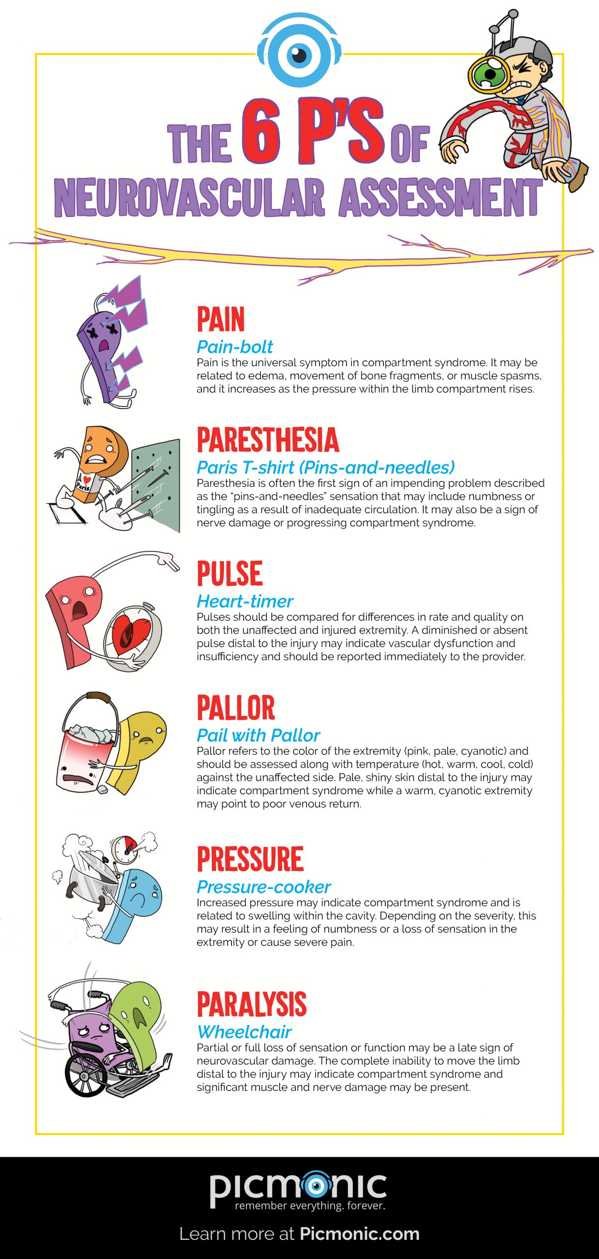 infographic-how-to-study-neurovascular-assessment-6-p-s