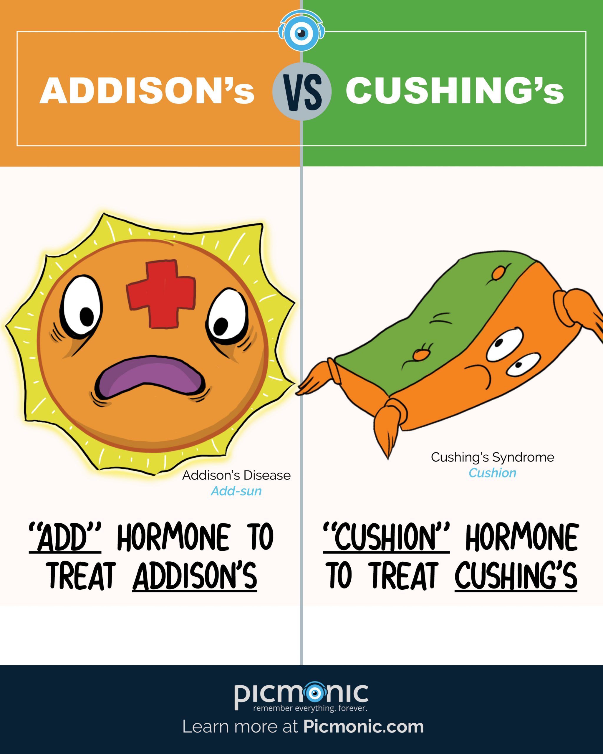 Infographic How To Study Addisons Vs Cushings Picmonic