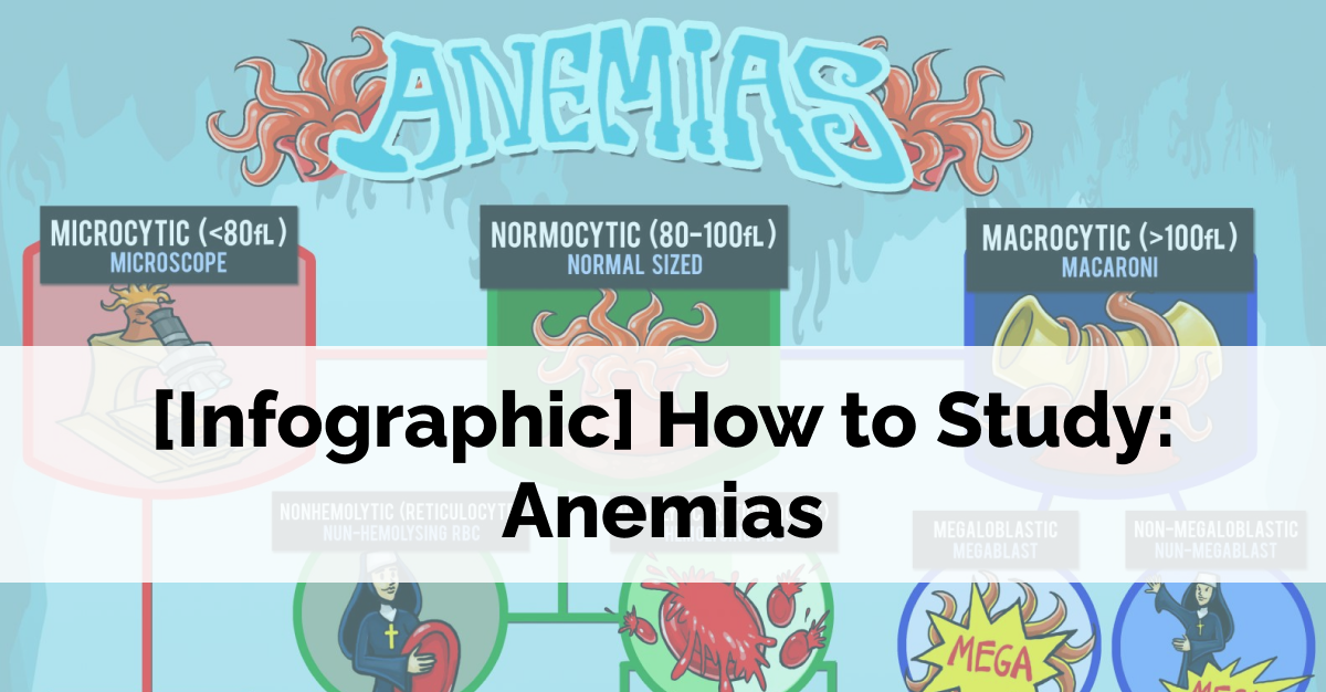 [Infographic] How to Study for Anemias Visual Learning