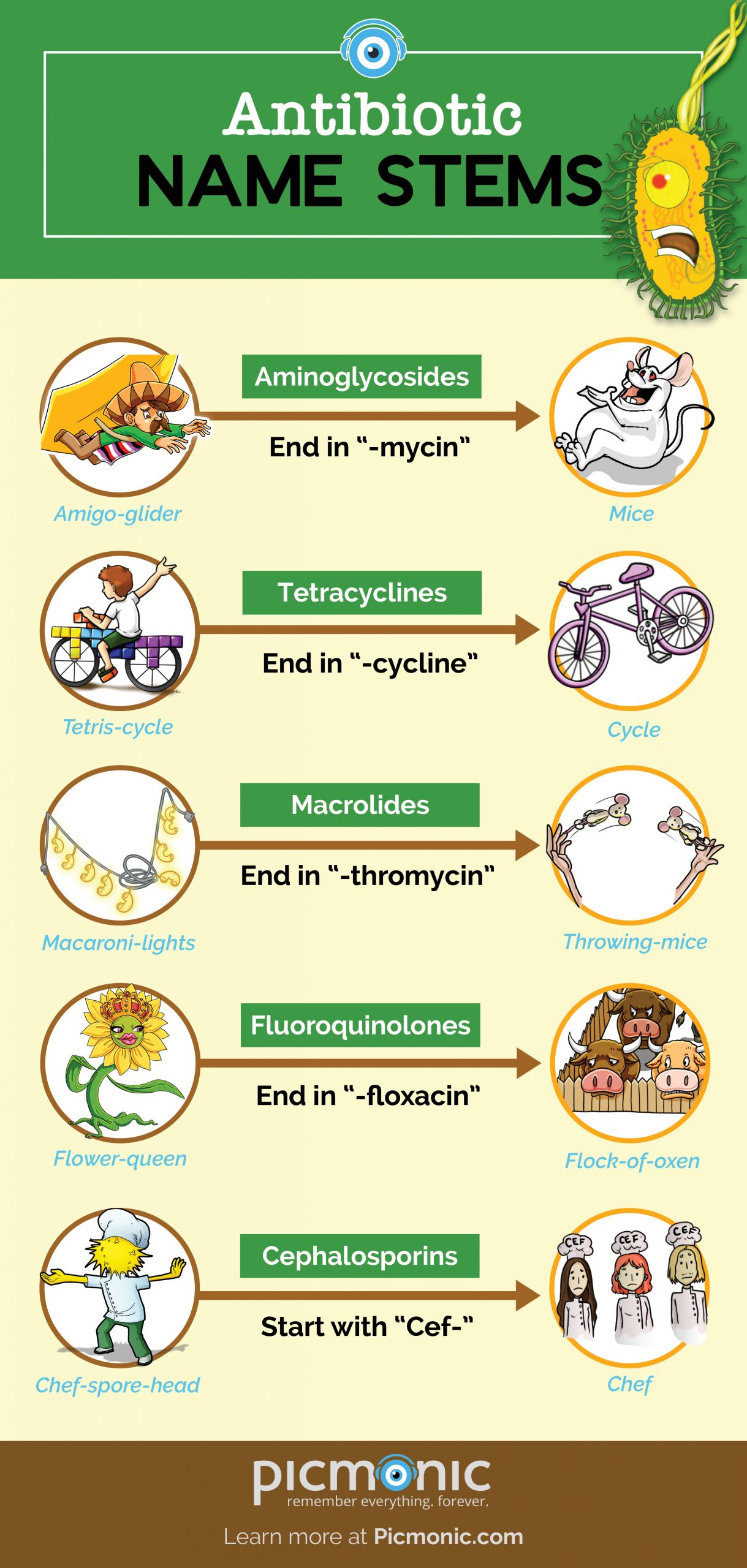 [Infographic] How to Study Antibiotic Stem Names Picmonic