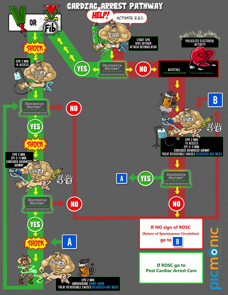 [Infographic] How to Study ACLS Pathway Picmonic