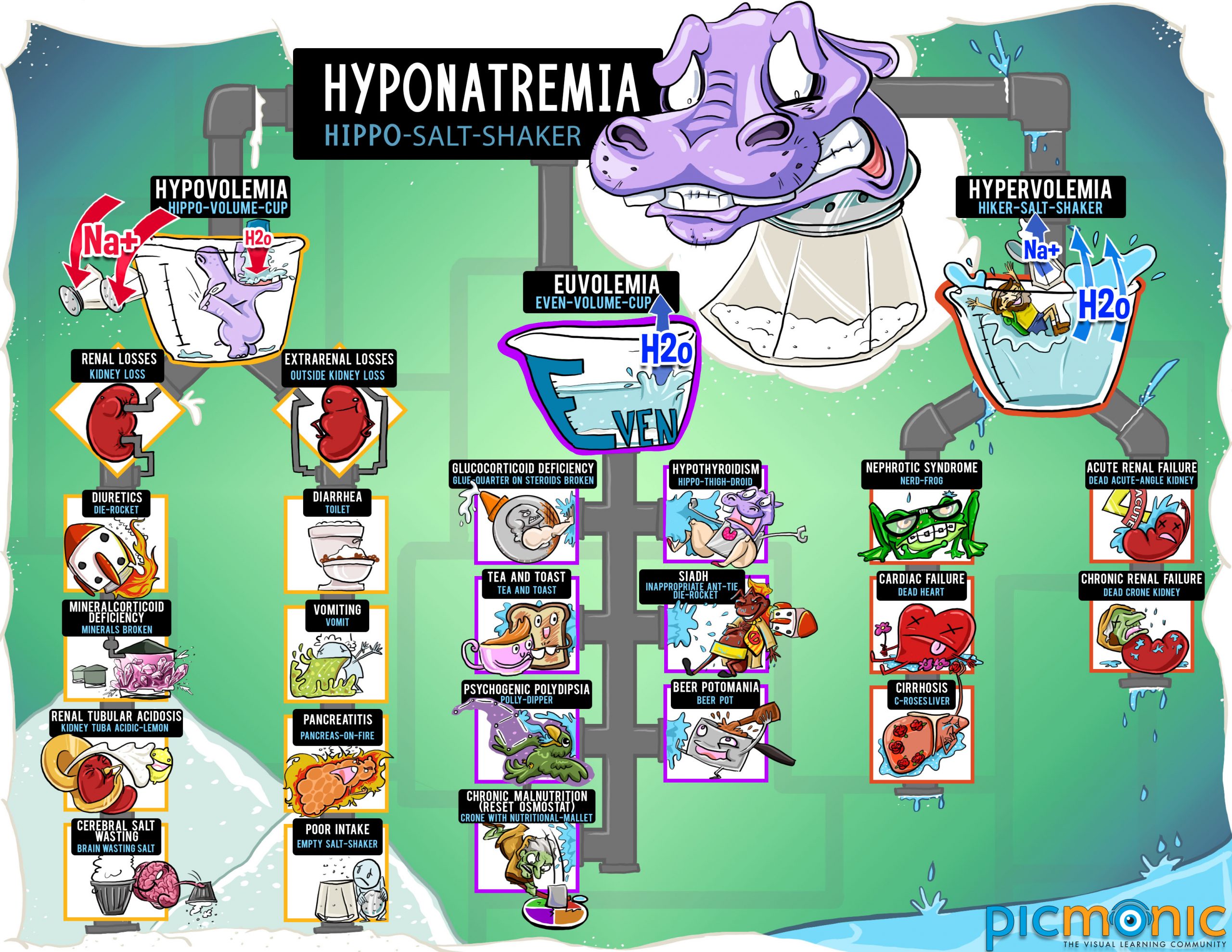  Infographic How To Study Hyponatremia Picmonic