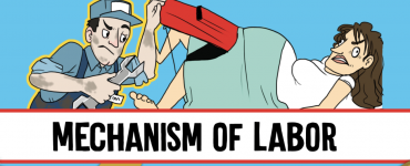 Mechanism of Labor