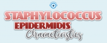 Staphylococcus Epidermidis