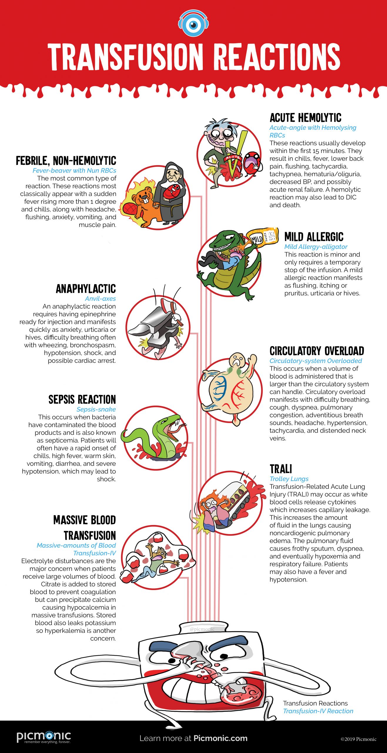  Infographic How To Study Transfusion Reactions Picmonic
