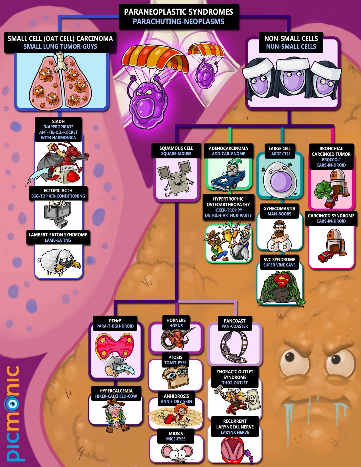 Infographic How To Study Paraneoplastic Syndrome Picmonic