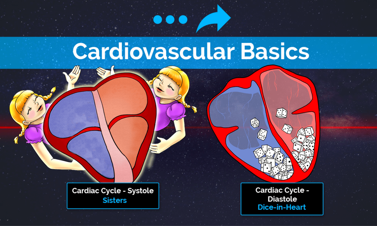 Some of the most fundamental topics to grasp in physiology are the specifics of the cardiac cycle.